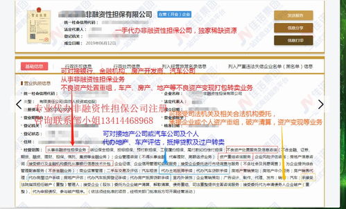 獨家渠道代辦非融資性擔保公司 專業(yè)金融信息咨詢服務(wù)指南